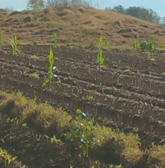 Natural Stone Artifact - Picture 11 of 11